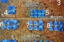 蓝色警戒微操重要还是战略重要，下面我们来详细分析两者的作用和关系